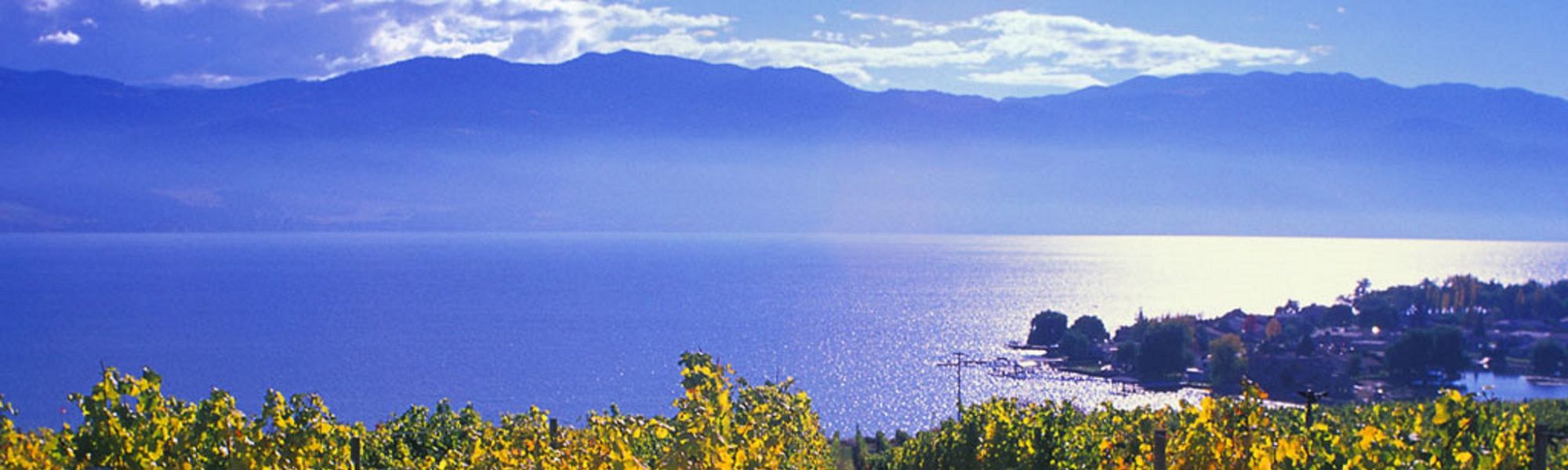Kelowna Psychologists Group